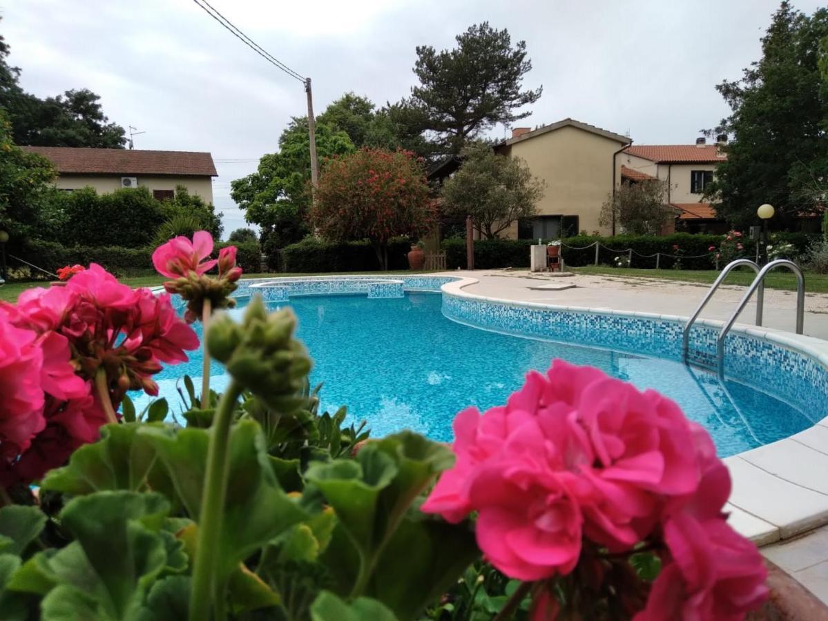 Agriturismo Le Chicche Di Mafalda 몬테메라노 외부 사진
