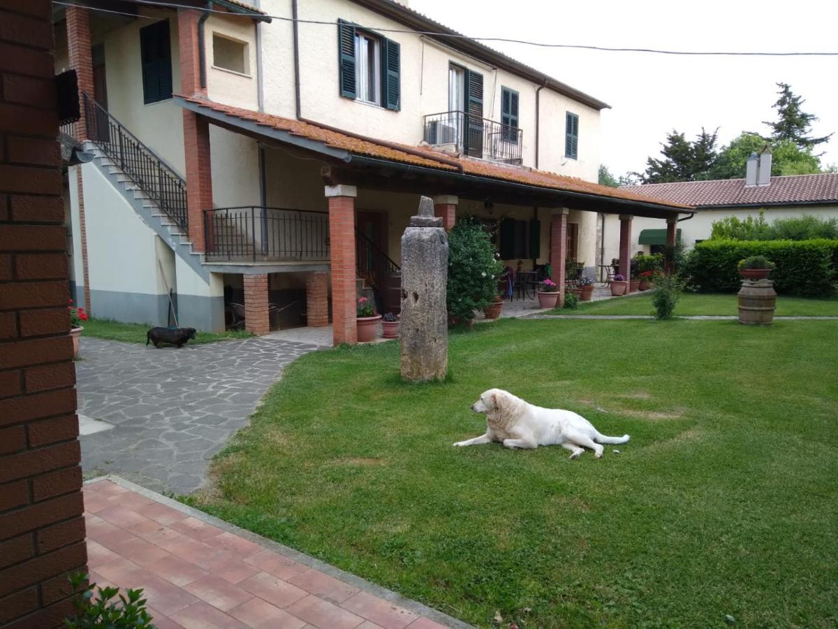 Agriturismo Le Chicche Di Mafalda 몬테메라노 외부 사진