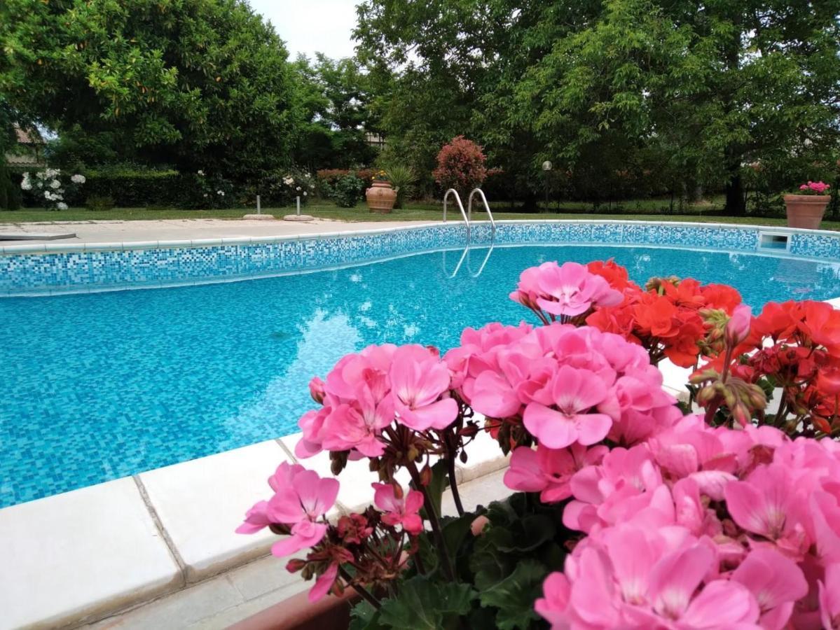 Agriturismo Le Chicche Di Mafalda 몬테메라노 외부 사진
